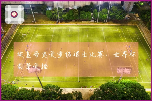 埃基蒂克受重伤退出比赛，世界杯前景受挫