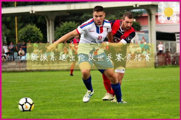 樊振东退出伦敦世乒赛资格赛